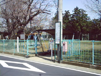 LwZ