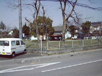 wZ