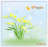 Freesia