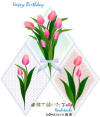 Ȑŕ`Tulip